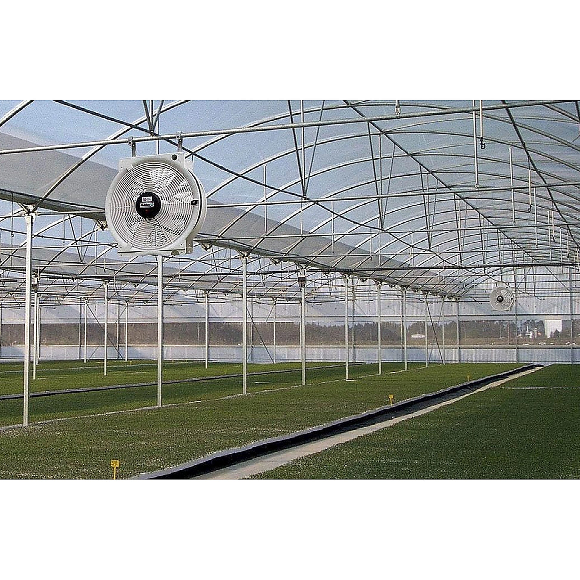 Vostermans Multifan Greenhouse HAF Q Fan - 20in in action