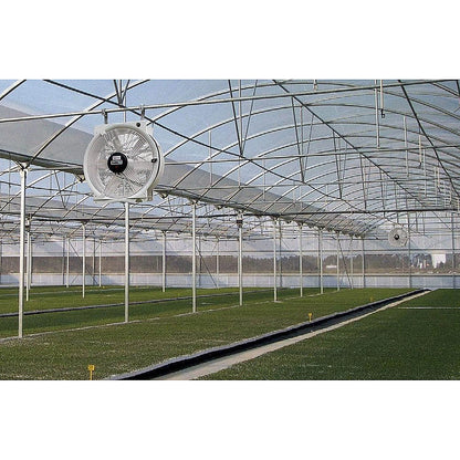 Vostermans Multifan Greenhouse HAF Q Fan - 20in in action