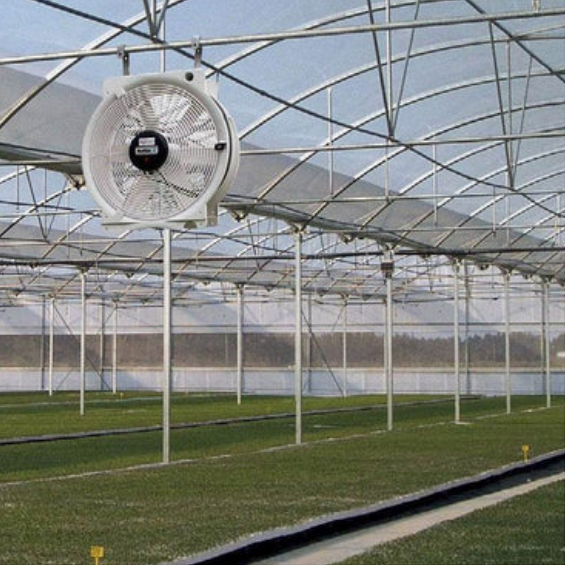 Vostermans Multifan Greenhouse HAF Q Fan 16in in action