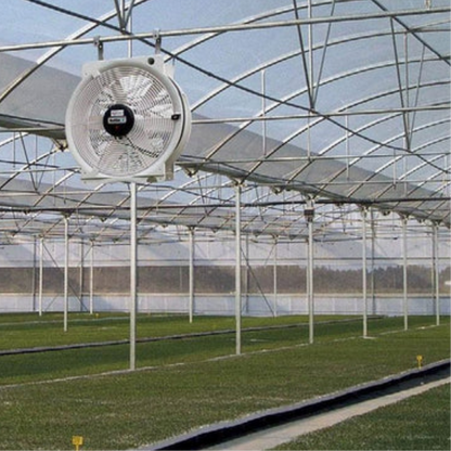 Vostermans Multifan Greenhouse HAF Q Fan 16in in action