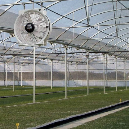 Vostermans Multifan Greenhouse HAF Q Fan 20in  240v in action