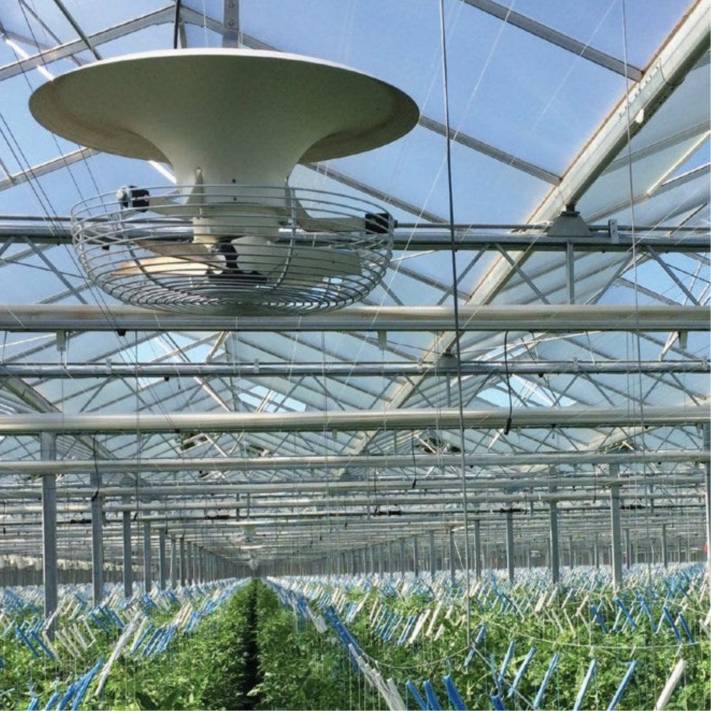 Vostermans Ventilation Multifan V-Flo Fan V2.0 in action