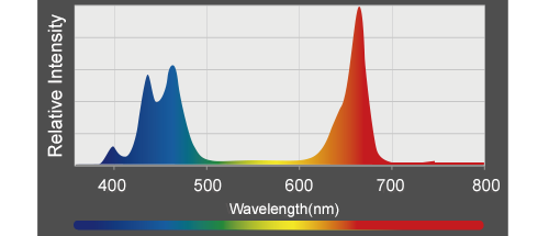 Kessil A360X Refugium LED Grow Light veg chart 2