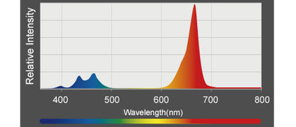 Kessil A360X Refugium LED Grow Light grow chart 3