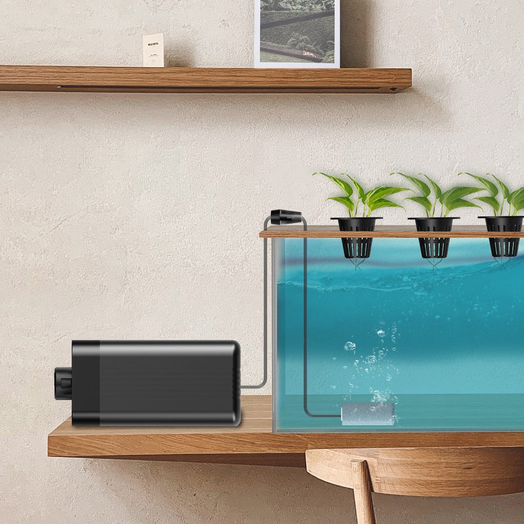 24 GPH (1.5 L/M) Air Pump System