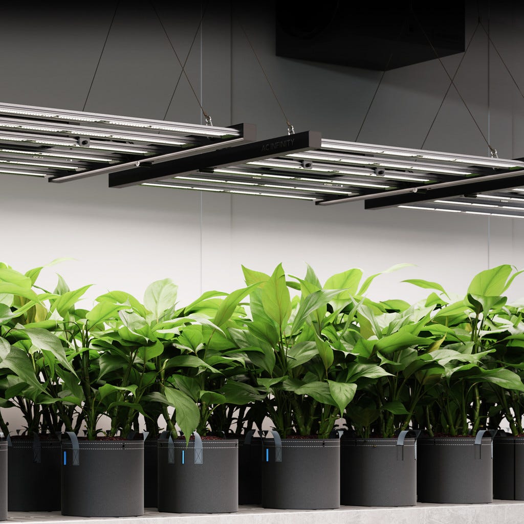 5x5 Ft. Best In Class Lighting