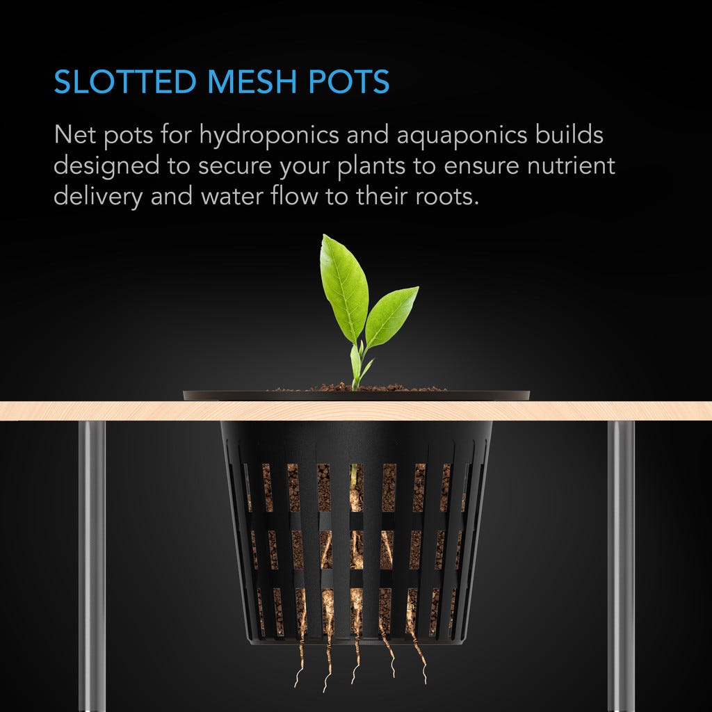 Slotted Pots With Wide Lips