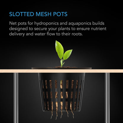 Slotted Pots With Wide Lips