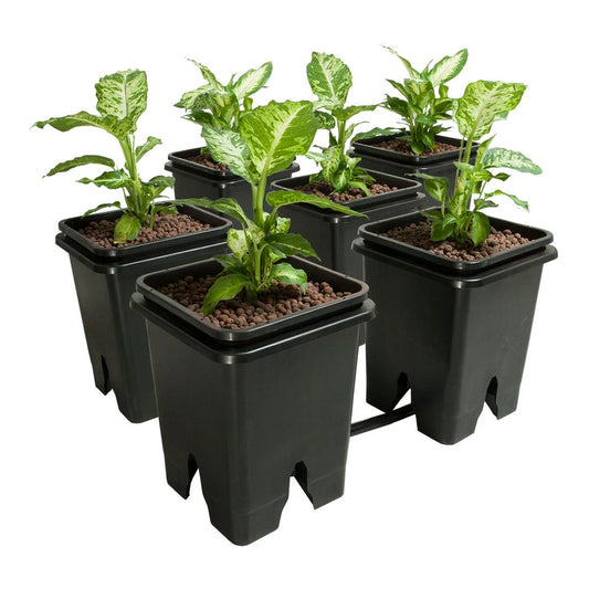 Active Aqua Grow Flow 2.0 6-pot expansion kit, 5 gal square pots on flood trays with plants
