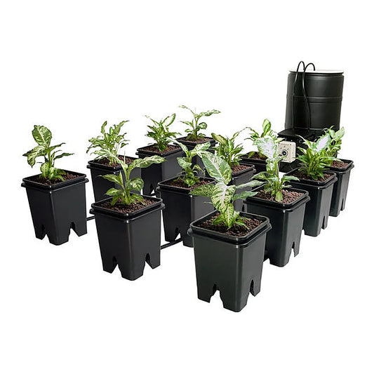 Active Aqua Grow Flow 12 site ebb and flow system with 5 gallon grow buckets and 7 gallon controller bucket