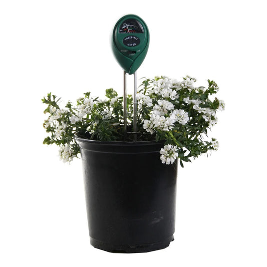Active Air 3-way meter in retail pack, tests soil moisture, light and pH
