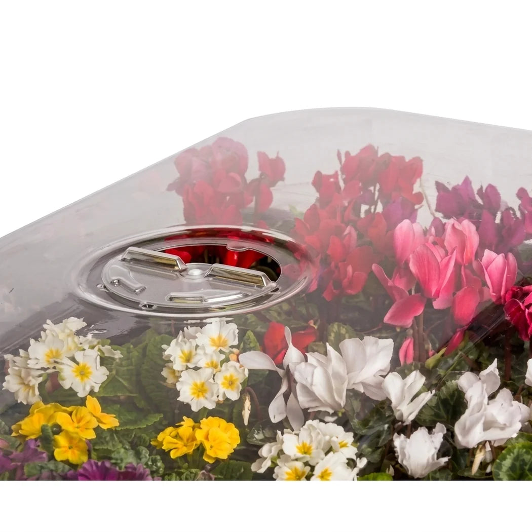 Active Aqua Humidome covering seedlings and flowering starts in a propagation tray