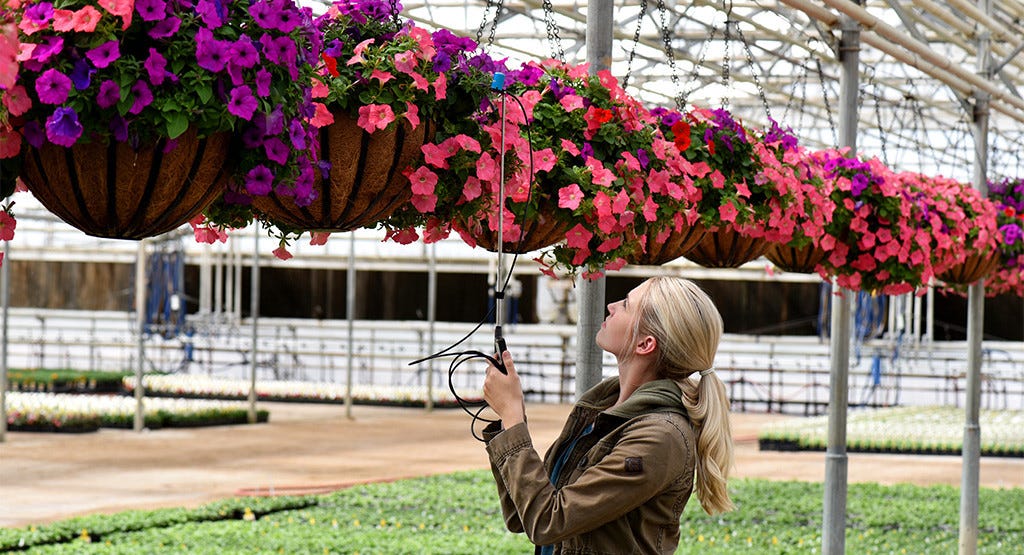 Apogee PAR PPFD Quantum Meter And Sensor MQ-500 in Greenhouse