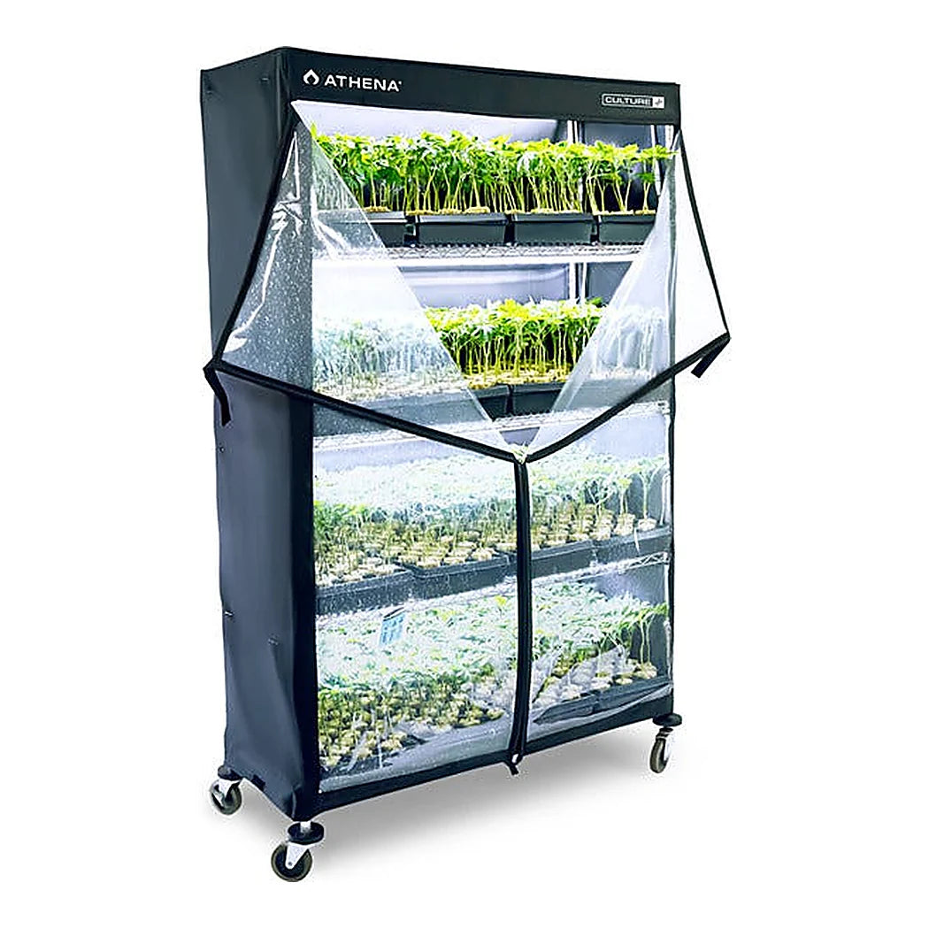 Athena VP Dome propagation rack with cover, in use