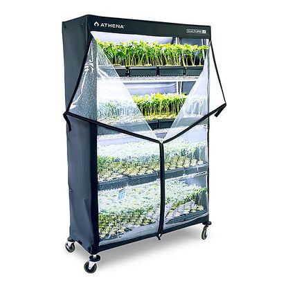 Athena VP Dome propagation rack with cover, in use