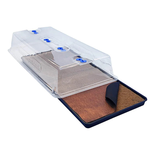 AutoPot - easy2Propagate Basic Kit - easy2Propagate basic kit with lid, tray and capillary matting