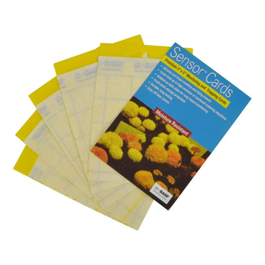BASF Sensor yellow sticky monitoring cards, 3 x 5 in, fanned out beside the 50-card pack