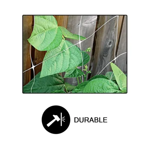 Common Culture Bio Trellis Netting Bulk Roll 4 ft x 3