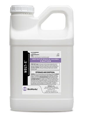 BioWorks Molt-X - 1-Quart Main Image