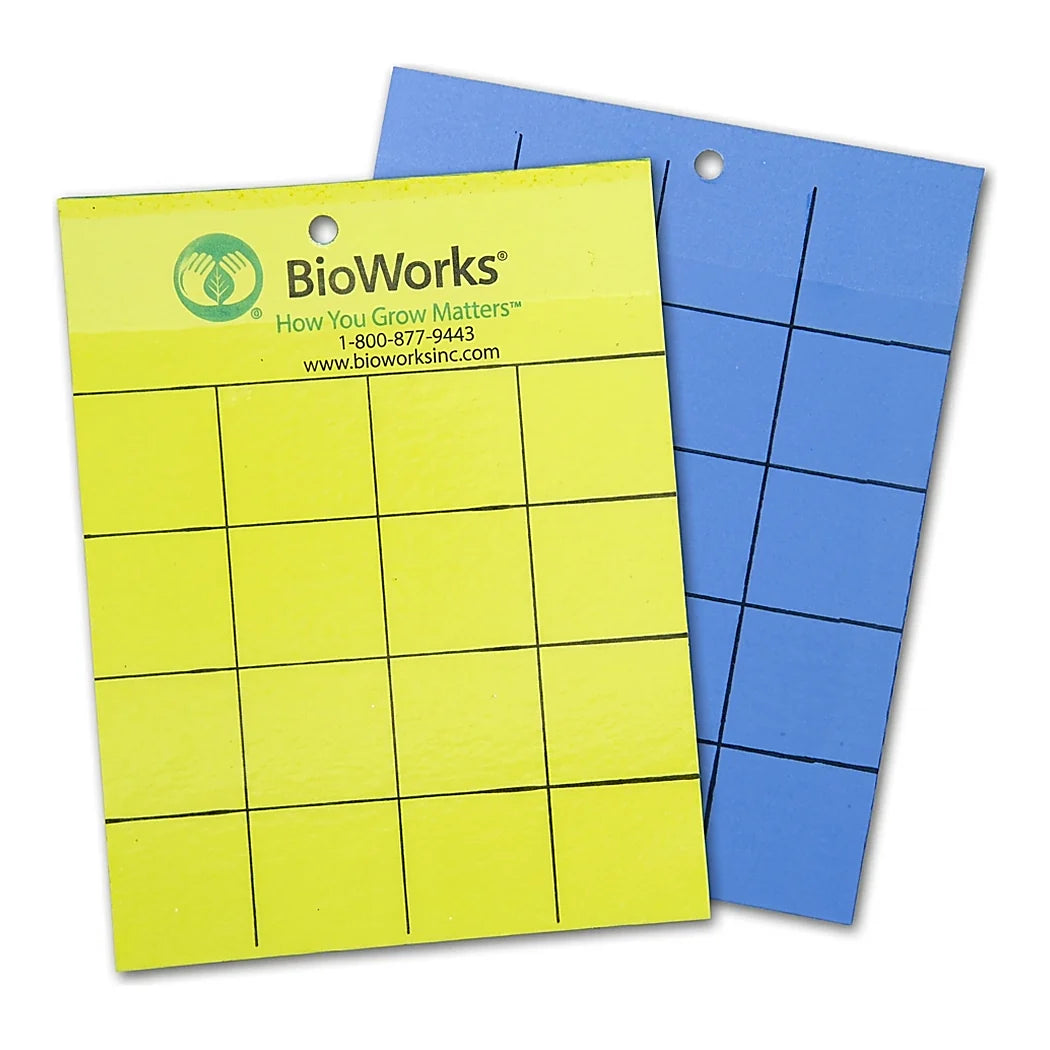 BioWorks 2-sided sticky cards, yellow face and blue face with printed grid and hanging hole