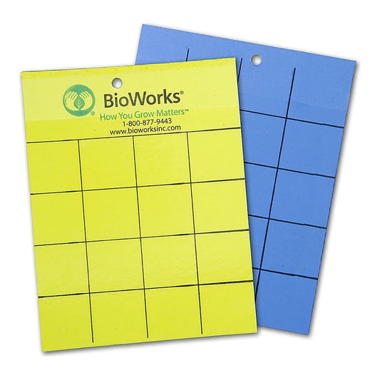 BioWorks 2-sided sticky cards, yellow face and blue face with printed grid and hanging hole