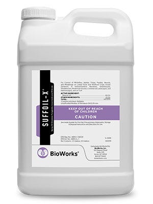 BioWorks SuffOil-X - 2.5 Gallon Main Image
