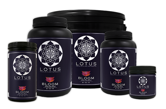 Lotus Nutrients Pro Series - Bloom
