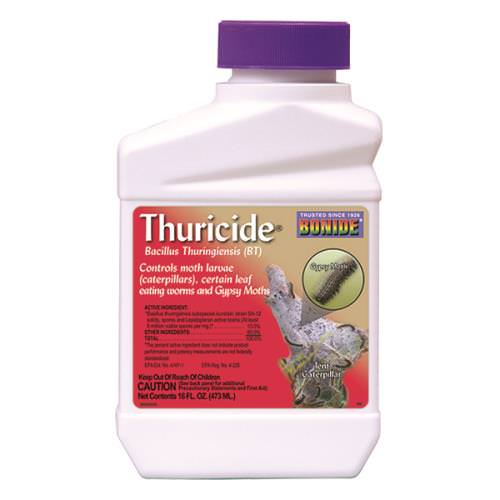 Bonide Thuricide (BT - Bacillus Thuringiensis) Concentrate Pint