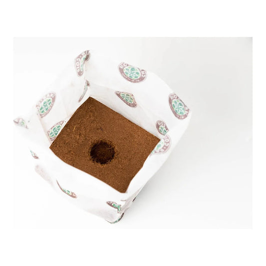 Char Coir BioPot half gallon coco pot, expanded