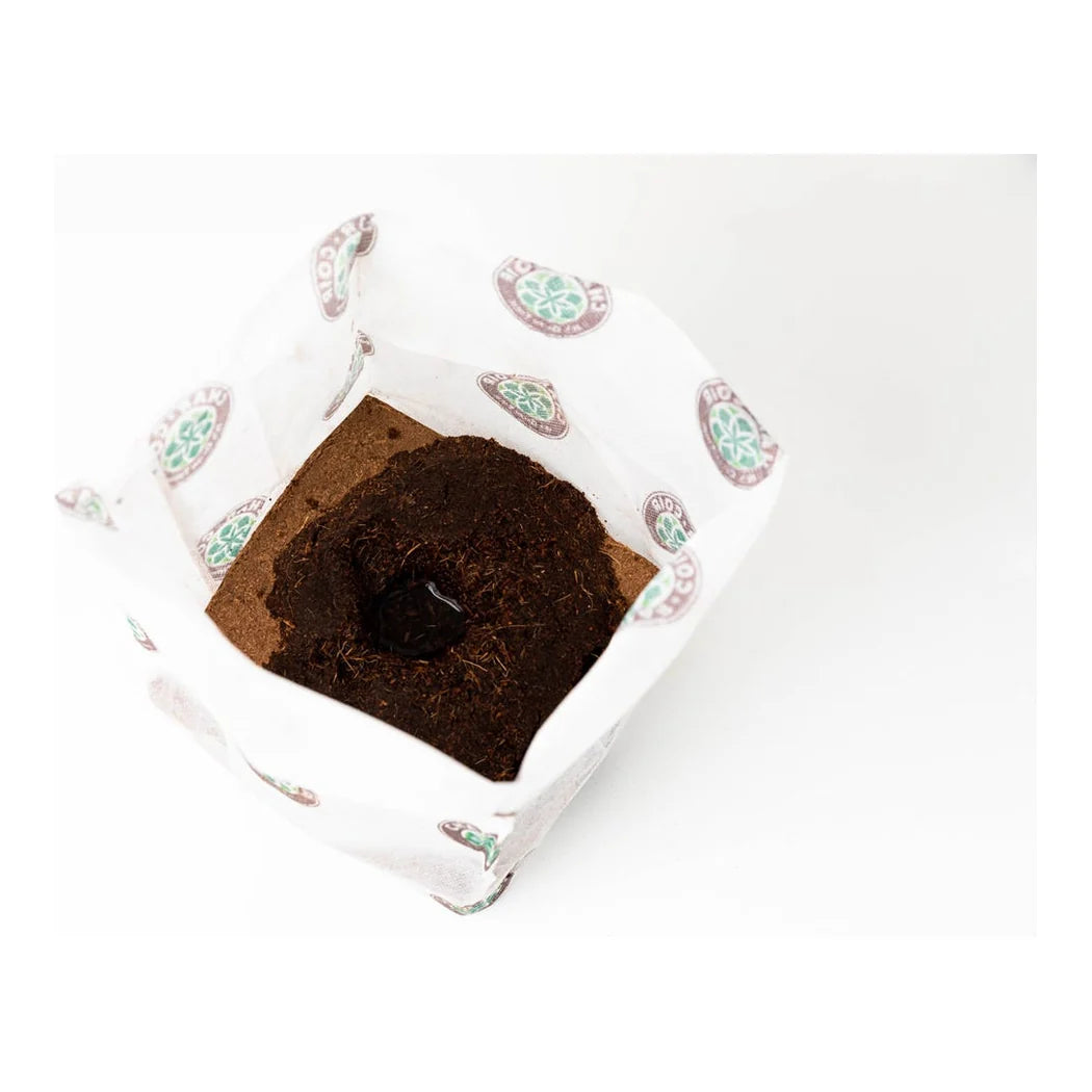 Char Coir BioPot with pre-drilled drip stake hole