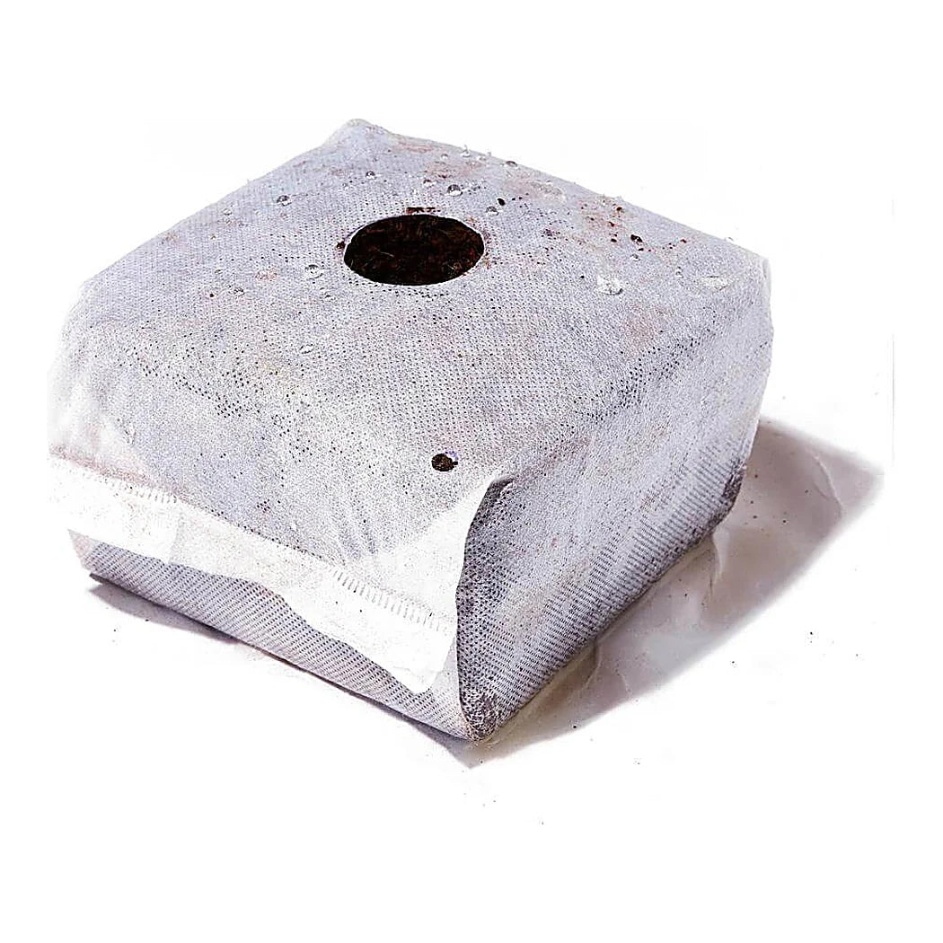 Char Coir coco coir cube, side view