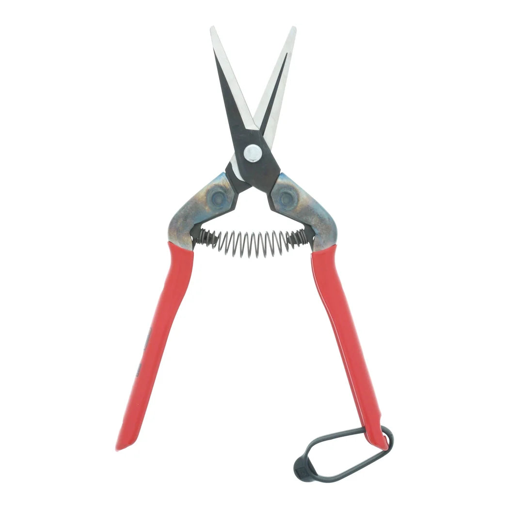 Chikamasa T-55C carbon steel pruning shears with coil spring and red PVC-coated steel handles