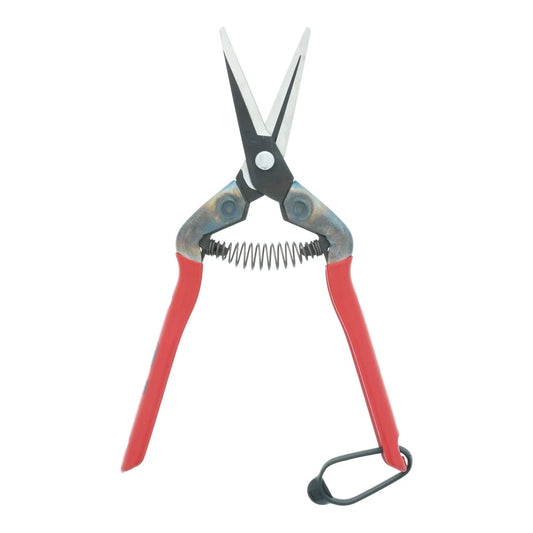 Chikamasa T-55C carbon steel pruning shears with coil spring and red PVC-coated steel handles