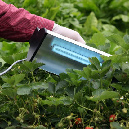 Clean Light Pro 36 W unit in use over a crop