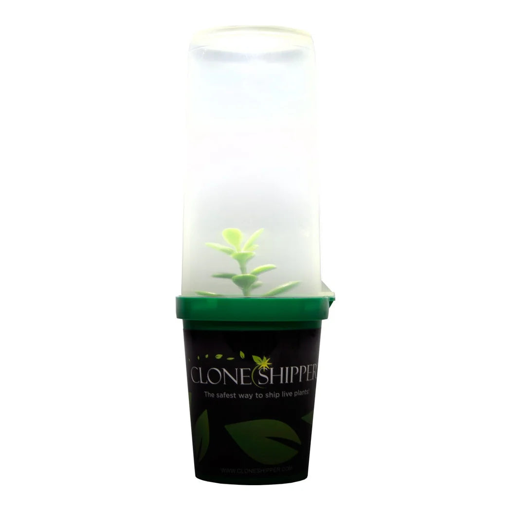 Clone Shipper reusable pot and clear shipping dome, side view