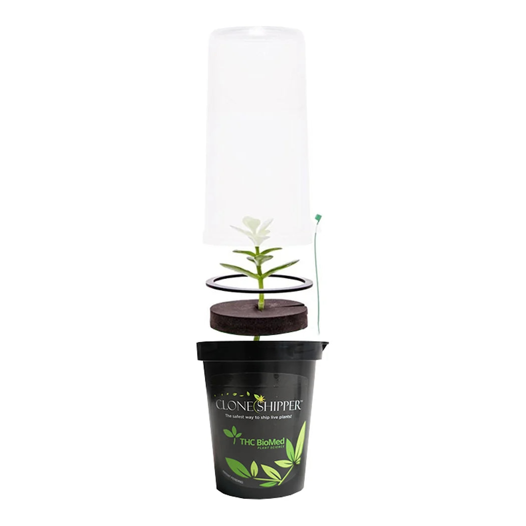 Clone Shipper plant shipping module with clear dome over a rooted cutting