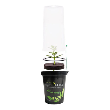 Clone Shipper plant shipping module with clear dome over a rooted cutting