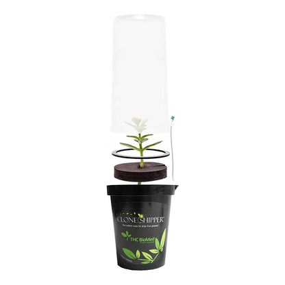 Clone Shipper Plant Shipping Module | 100+ Hour LED, Vented - plant shipping module with dome