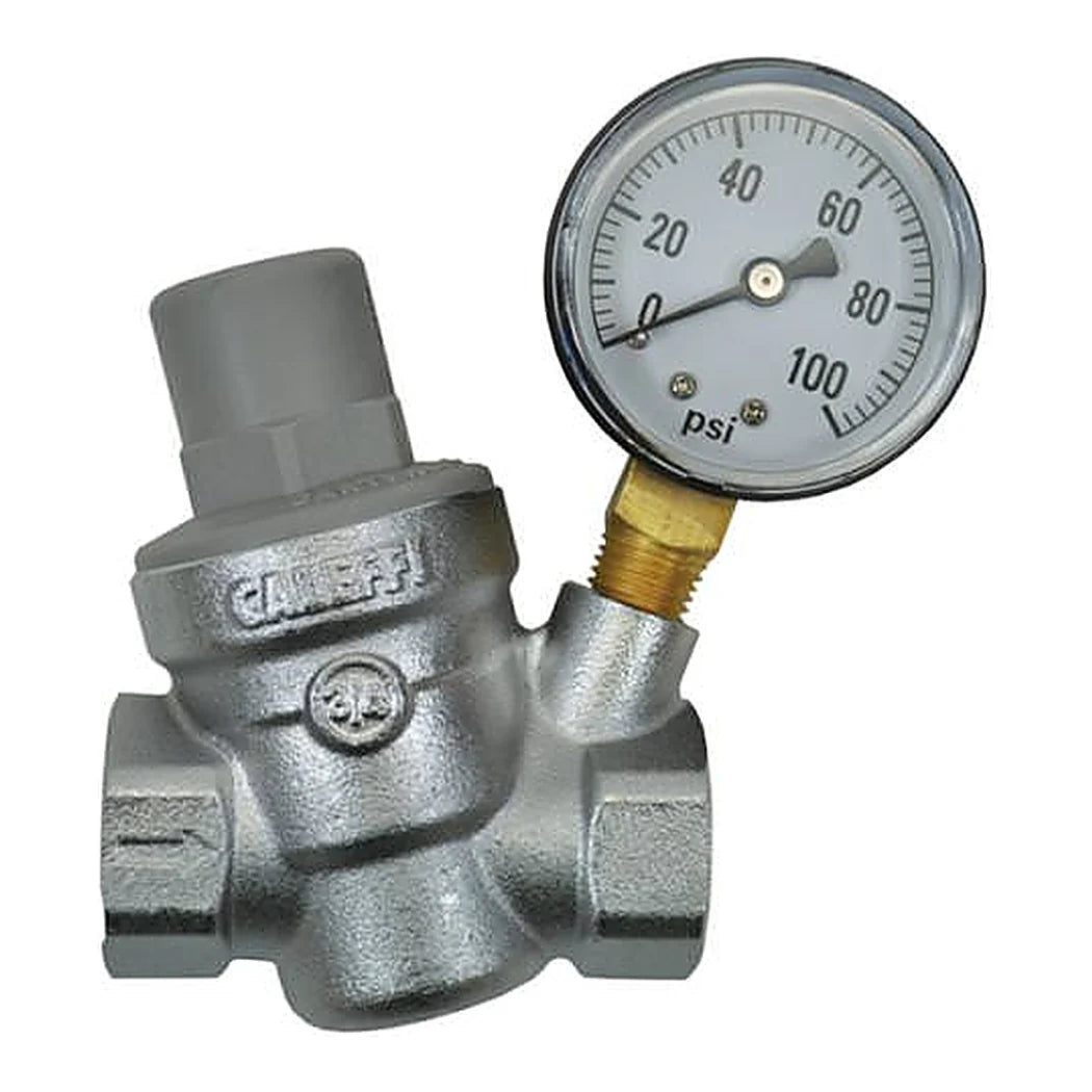 Dilution Solutions Pressure Regulator with Gauge - 3/4 (FPT x FPT) - 3/4 in pressure regulator with gauge