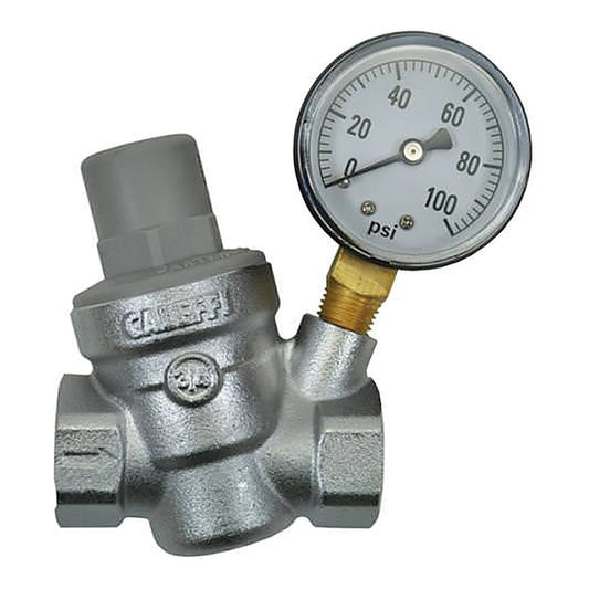 Dilution Solutions Pressure Regulator with Gauge - 3/4 (FPT x FPT) - 3/4 in pressure regulator with gauge