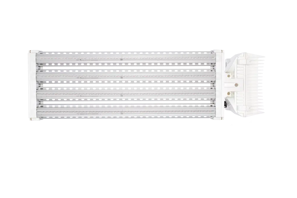Dutch Lighting Innovations APEX-Series LED Toplight 800 FS-DC