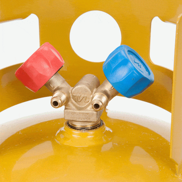 Dual Valve option