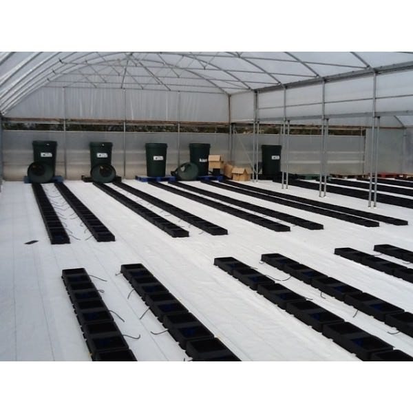 AutoPot - easy2grow in Greenhouse Chili Plant Test