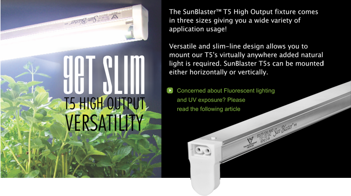 Sun Blaster T5 HO Fluorescent Strip Light -- 2 ft