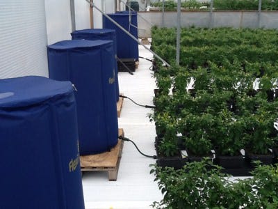 AutoPot - 105 Gallon FlexiTank