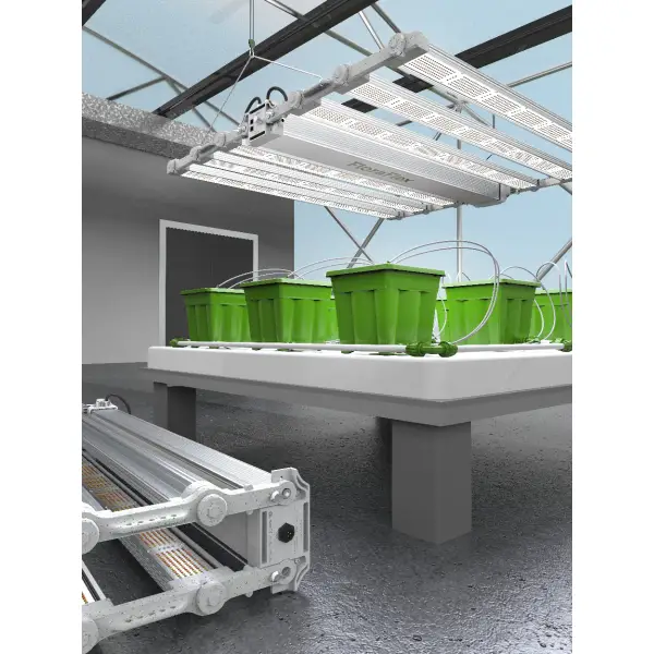 FloraFlex DLC 1200W 6-BAR LED | 120V In Room