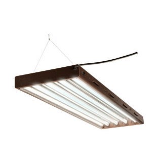 4 Bulb Fixture w/Mixed Bulbs 49â€x 5â€ x 16â€
