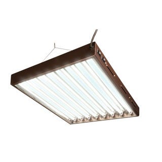 6 Bulb Fixture w/Grow Bulbs 49â€x 5â€ x 21â€