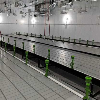 FS Rolling Benches 3x6 ft | 12 Gauge Steel, Anti-Rotate Plate - benches installed in a grow room