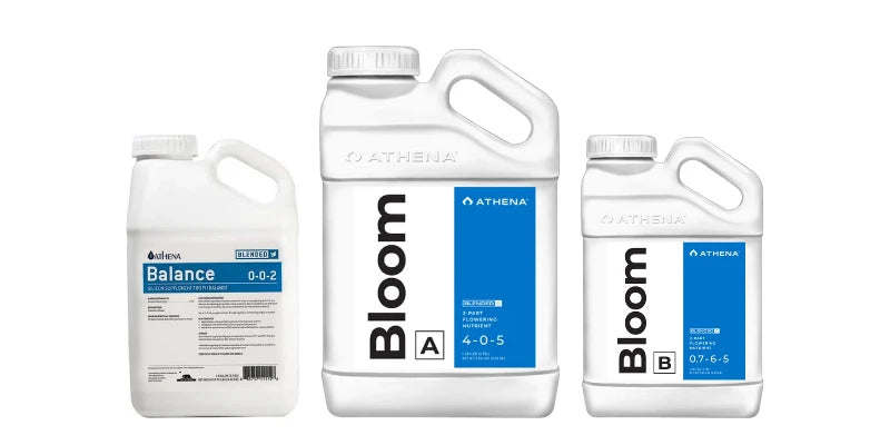 ATHENA products